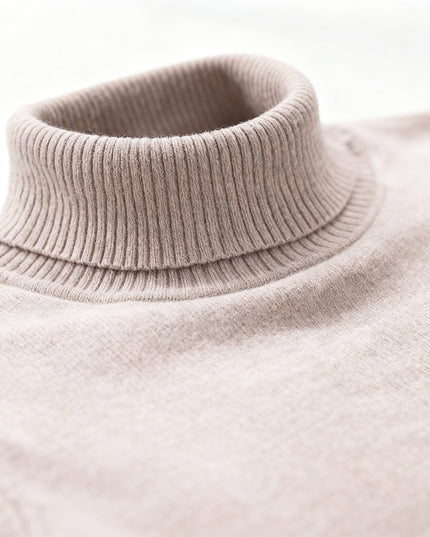 Men's Fine Knit Turtleneck Sweater