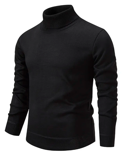Men's Fine Knit Turtleneck Sweater