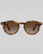 Amber Tortoise