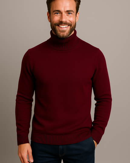 Men's Slim Fit Turtleneck Knit Pullover Sweater