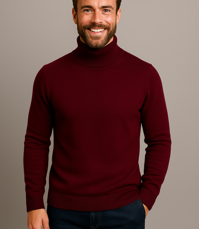 Men's Slim Fit Turtleneck Knit Pullover Sweater