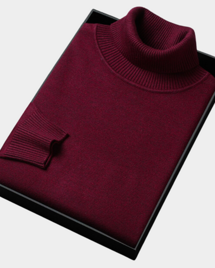 Men's Slim Fit Turtleneck Knit Pullover Sweater