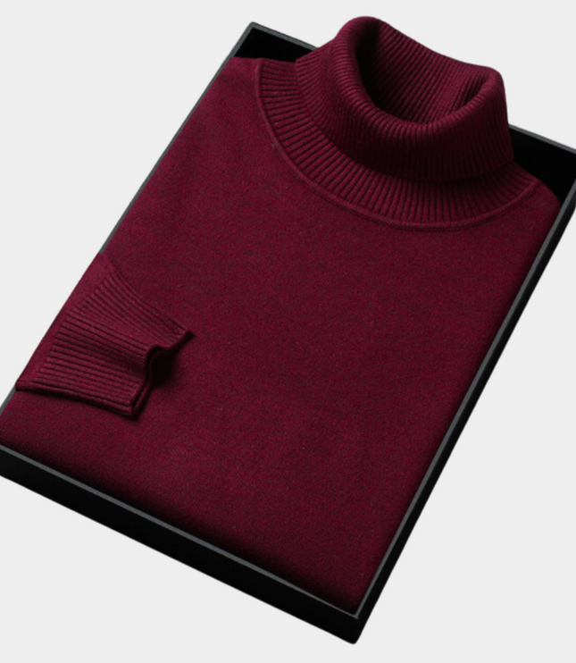 Men's Slim Fit Turtleneck Knit Pullover Sweater