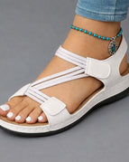 White / 36